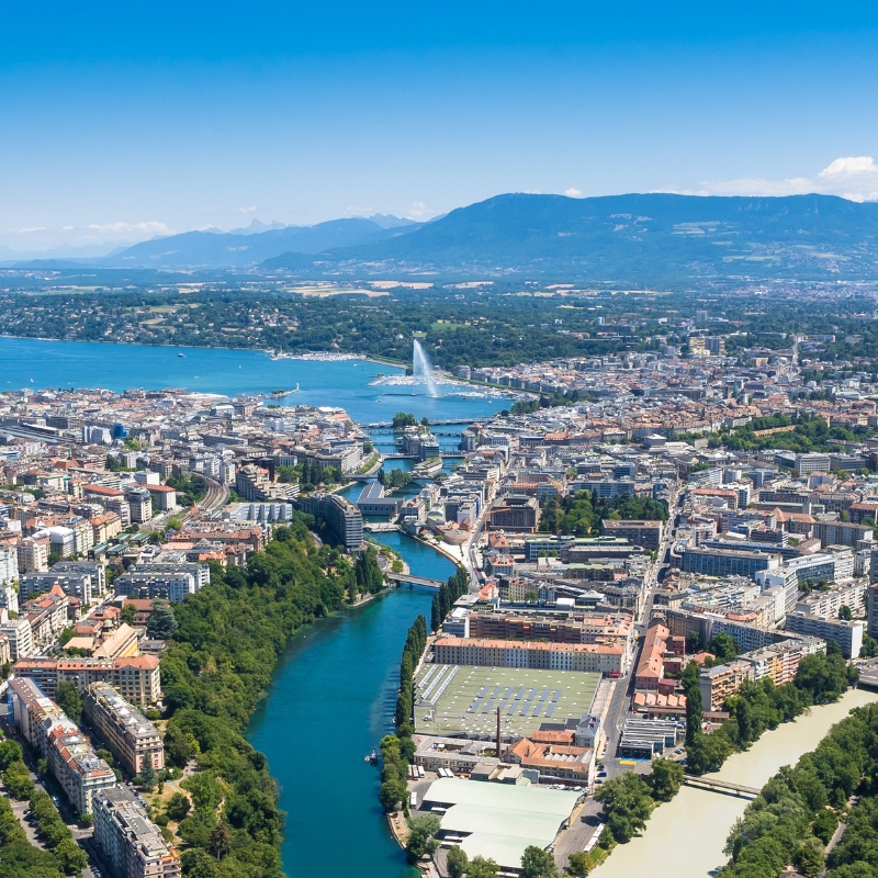 contacter Bang Nuisibles spécialiste d'elimination des nuisibles à Genève